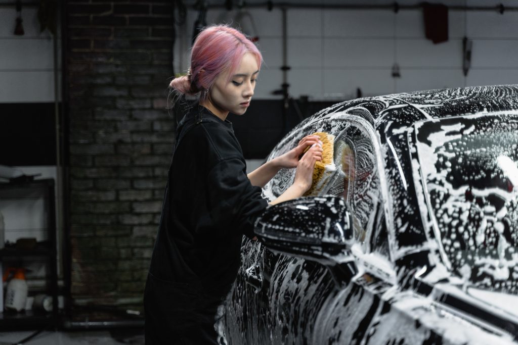 car grooming services
